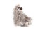 Wild Republic Three Toed Sloth Plush, Stuffed Animal, Plush Toy, Sloth Gifts, Cu Carousel 2