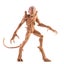 Loading Image 1 of 2