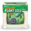Learning Resources Cross-Section Plant Cell Model, Plant Anatomy, Science Classr Carousel 2