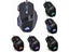 Mouse Carousel 1