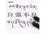 Fountain Pen Carousel 6