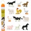 Safari Ltd. Farm TOOB - 12 Figurines Including Cow, Pig, Goat, Horse, and More - Carousel 1