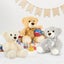 MaoGoLan 3 Pieces Bulk Teddy Bears Stuffed Animals Baby Shower, Soft Small Stuff Carousel 2