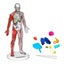 Loading Image 1 of 2