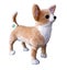 Adore 13" Standing Taco The Farting Chihuahua Dog Stuffed Animal Plush Toy Carousel 1