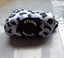 KYLOMI BLUE GREY WHITE LEOPARD PRINTX 4 PEICE SET Carousel 3