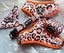4X KYLOMI ORCHARD ORANGE NEOPRENE LEOPARD PRINT SET Carousel 1