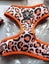 4X KYLOMI ORCHARD ORANGE NEOPRENE LEOPARD PRINT SET Carousel 3