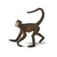 Loading Image 1 of 2