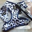 3 PIECE KYLOMI DOG ACCSESORY SET Carousel 1
