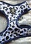 3 PIECE KYLOMI DOG ACCSESORY SET Carousel 3