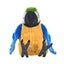 Loading Image 2 of 2