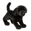 Douglas Chester Black Lab Dog Plush Stuffed Animal Carousel 1
