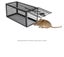 4pcs Mouse Trap Rat Traps Pest Control 2026201* Carousel 8