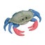 Loading Image 1 of 1