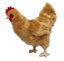 Loading Image 1 of 2