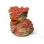 TUBBZ First Edition Bloater Collectible Vinyl Rubber Duck Figure - Official The Carousel 1
