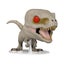 Loading Image 2 of 2