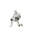 Loading Image 2 of 2