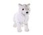 Wild Republic Arctic Wolf Plush, Stuffed Animal, Plush Toy, Gifts for Kids, Cudd Carousel 1