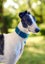 Meet River (More Proof) – Your Charming Adventure Buddy Carousel 12