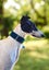 Meet River (More Proof) – Your Charming Adventure Buddy Carousel 13