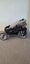 Mutsy Nexo Stroller Carousel 4
