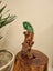 Iguana ornament Carousel 1