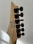 Ibanez RG2XXV 25th Anniversary Carousel 8