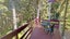 gallery view thumbnail