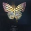 Butterfly Jeff Thomson Carousel 1