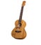 *New* Luna Bamboo Concert Ukulele with Gig Padded Bag Carousel 3