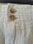 Just Jeans Linen Skirt size 10 Carousel 4