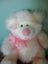 Gorgeous Russ Teddy Bear Taffie Carousel 2