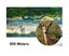 Children's Outdoor Binoculars, Beginner Binoculars ,Mini Portable,Binocular Carousel 5