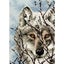 Dimensions Wolf Counted Cross Stitch Kit Carousel 1