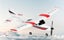 WLtoys F949 3CH 2.4G Cessna 182 RTF RC Airplane W/ 2 Rechargeable Batteries Carousel 5