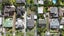 gallery view thumbnail