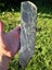 Pounamu greenstone Beautiful Long carving slab Carousel 3