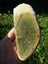 Pounamu greenstone Lovely coloured carving slab Carousel 8