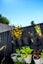 gallery view thumbnail