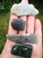 Pounamu greenstone Mixed Nephrite 5 piece tumbled lot 8 Carousel 8