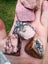 Pink Rodonite NZ 5 piece tumbled lot Carousel 3