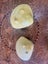 Vintage Asian carving of shell with buddha inside Carousel 7