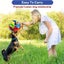 PTN NEW 1PC Engaging Snuffle Ball Toy For Dogs Promotes Mental Stimulation Toy Carousel 3
