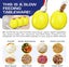 Dino Egg-Shaped Slow Feeder Dog Toy - Interactive Treat Dispenser Tough Chew Toy Carousel 4