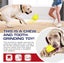 Dino Egg-Shaped Slow Feeder Dog Toy - Interactive Treat Dispenser Tough Chew Toy Carousel 5