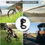 2x Portable Bike Speaker Mount Handlebar Sound Bar Holder w/2 Strap Adjustable Carousel 6