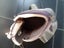 Hi-tec tramping boots Carousel 8