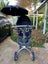 Stokke Push Chair Carousel 2